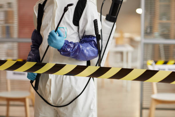Professional Sewage Cleanup technician working in Jupiter, FL